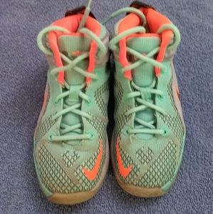 Nike Lebron James  shoes